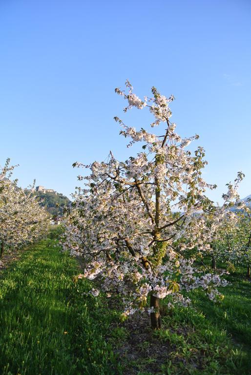 Agriturismo Bortolotti Pergine Valsugana Dış mekan fotoğraf