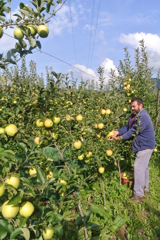Agriturismo Bortolotti Pergine Valsugana Dış mekan fotoğraf